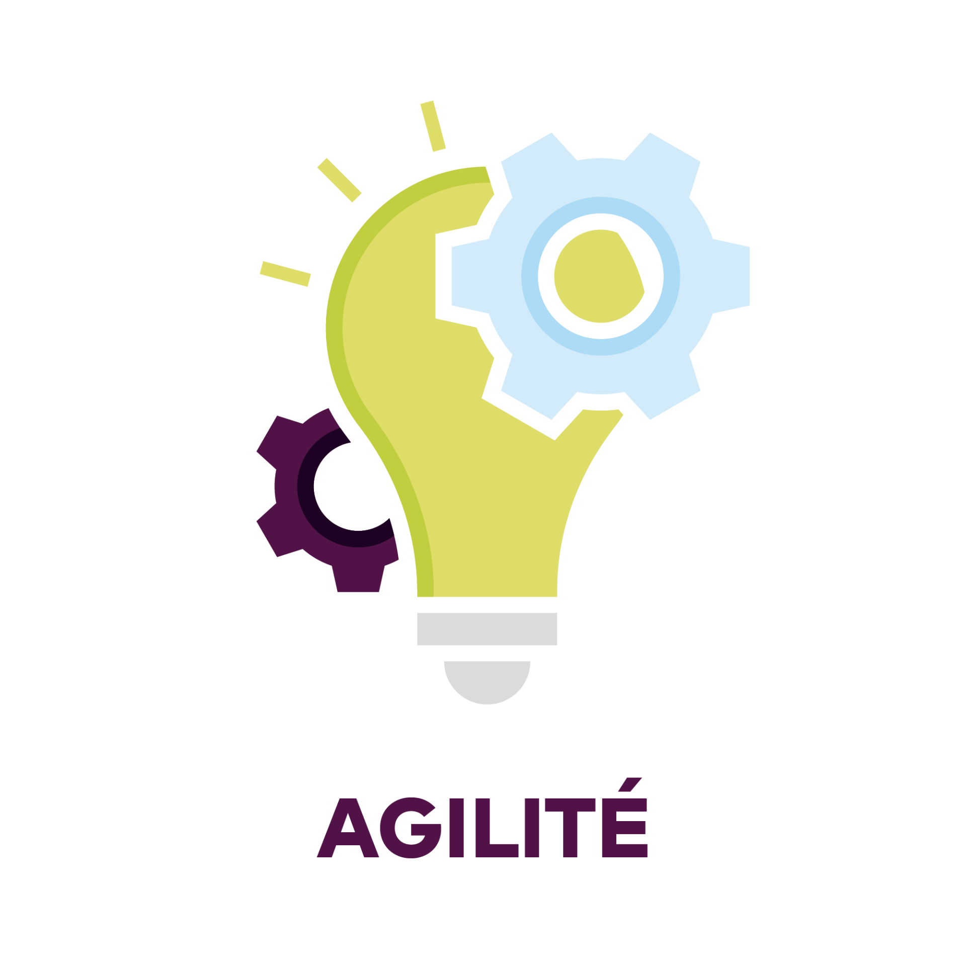 2024 020 values agilite